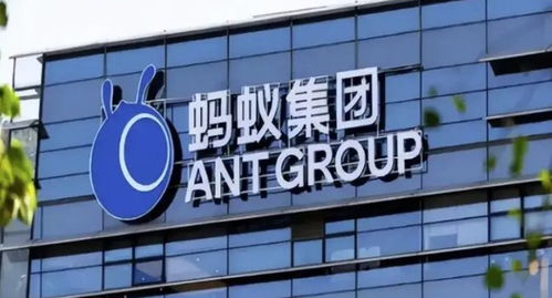 螞蟻集團(tuán)旗下數(shù)字螞力科技增資至1億，軟件外包服務(wù)能力再獲提升